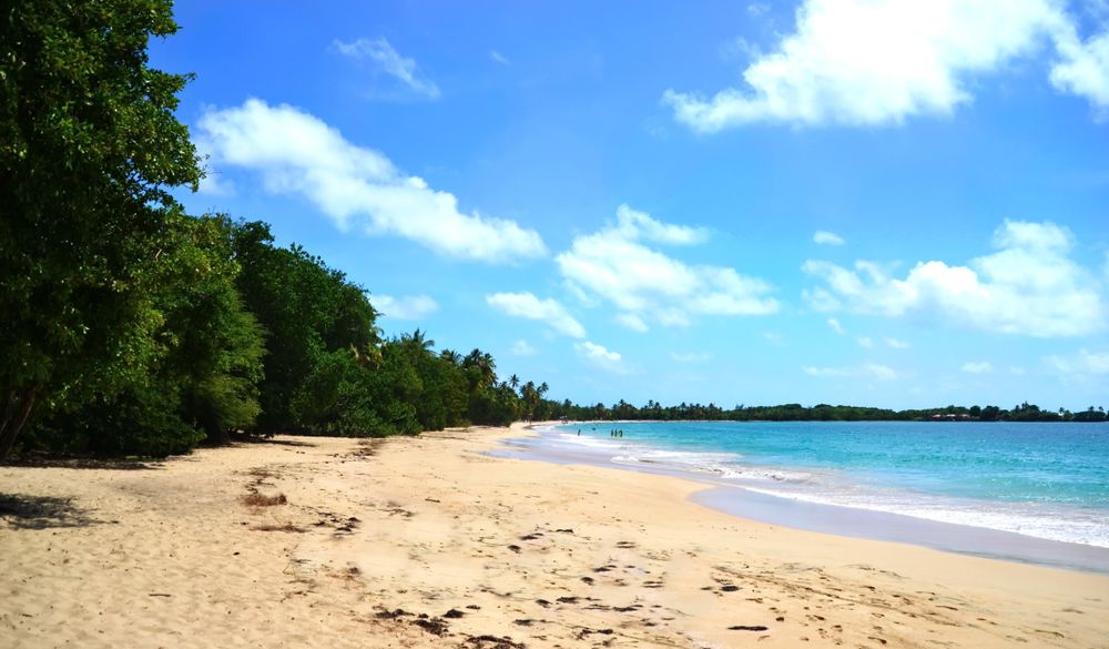 Scenic View of Plage des Salines
