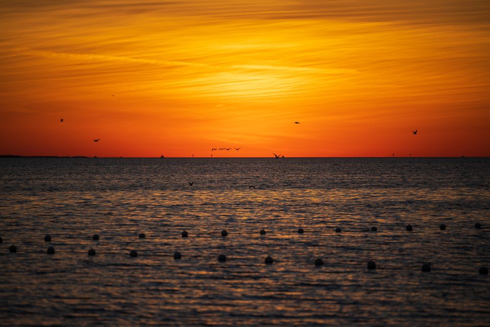 Sunset at Robert K Rees Memorial Park