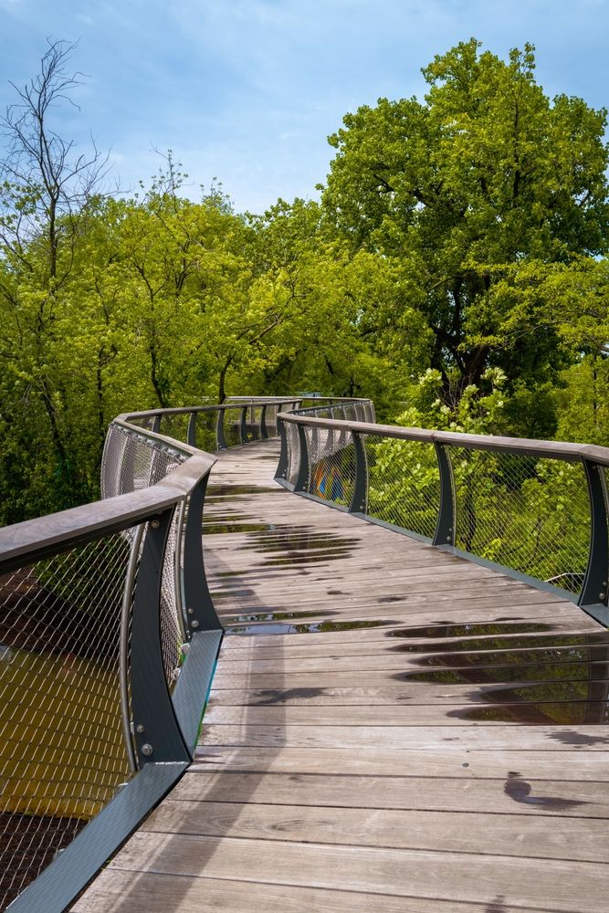 Boardwalk trail at Promenade Park