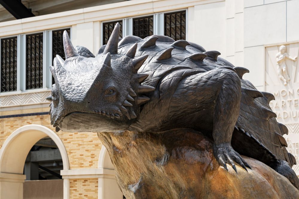 Hog statue at Amon G. Carter Stadium