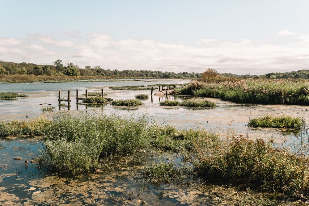 The waters of Fort Worth Nature Center & Refuge