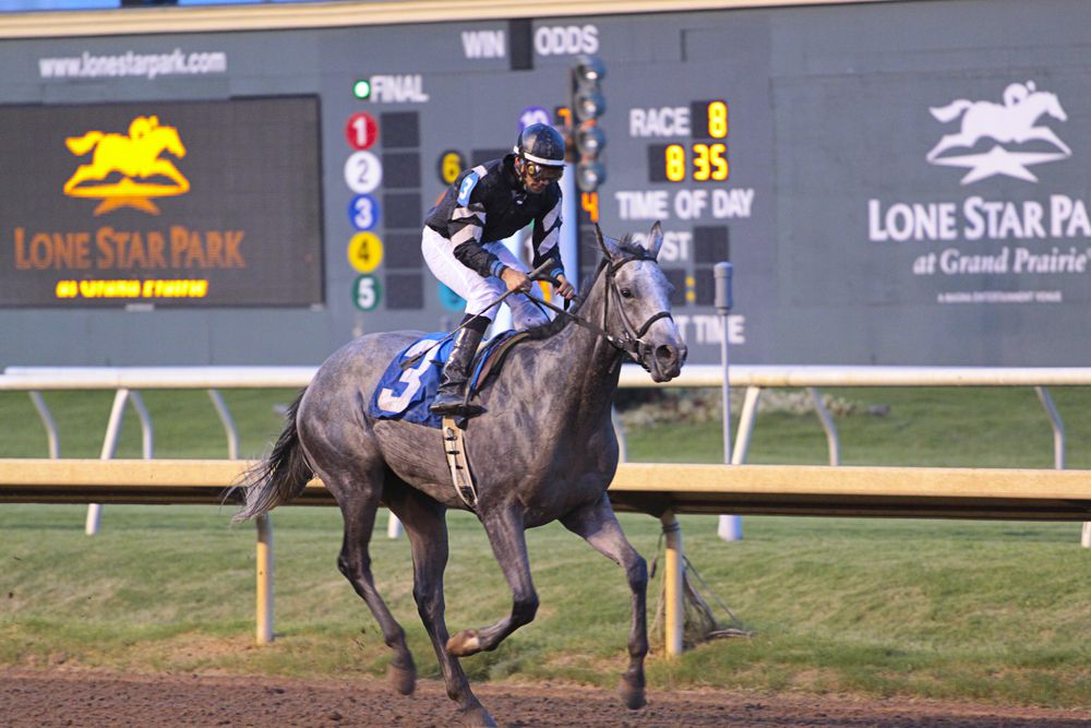 Horse-racing at Lone Star Park