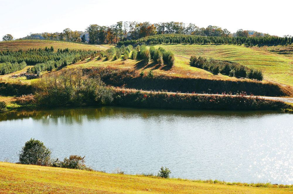 The waters of Mercier Orchards