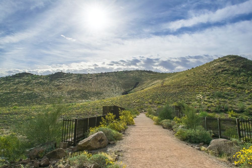 Scenic view of Thunderbird Conservation Park