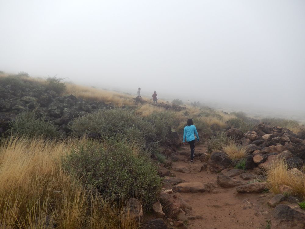 Hikers along Thunderbird Conservation Park