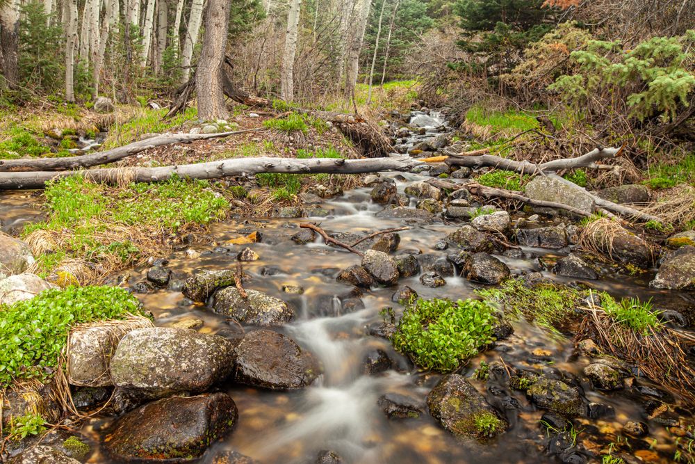Waters along Baker Creek Trail