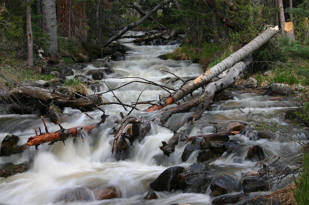 Waters of the upper Lehman Creek