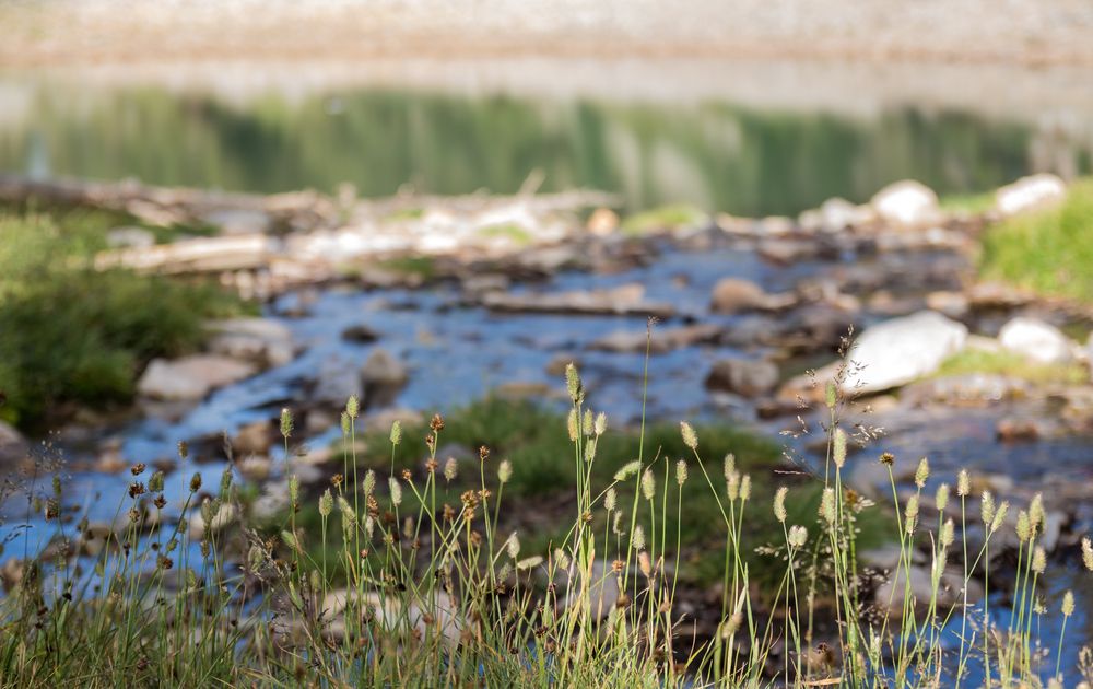 A stream flowing towards Teresa Lake