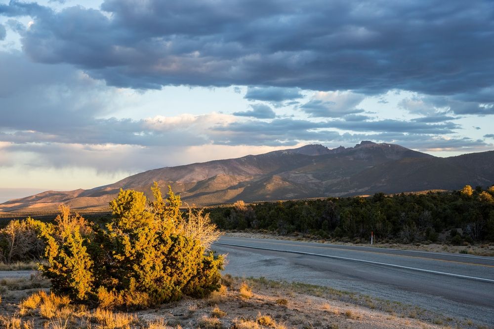 Landscape of Wheeler Peak Scenic Drive