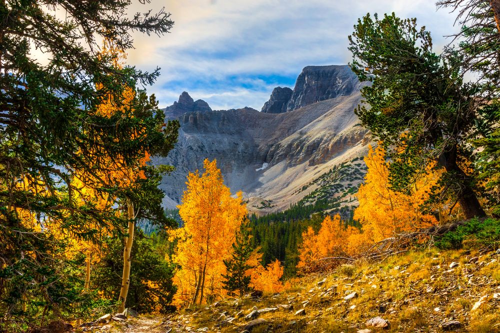 View from Wheeler Peak's hiking trail