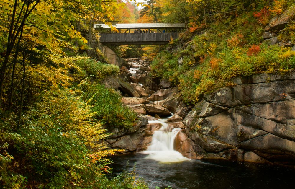 Scenic veiw of Flume Gorge