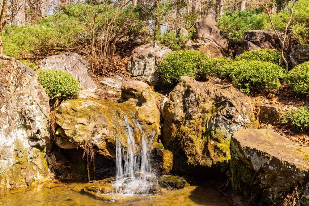 Small waterfall at Garvan Woodland Gardens