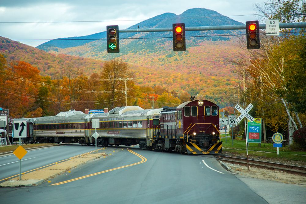 A train at Hobo Railroad
