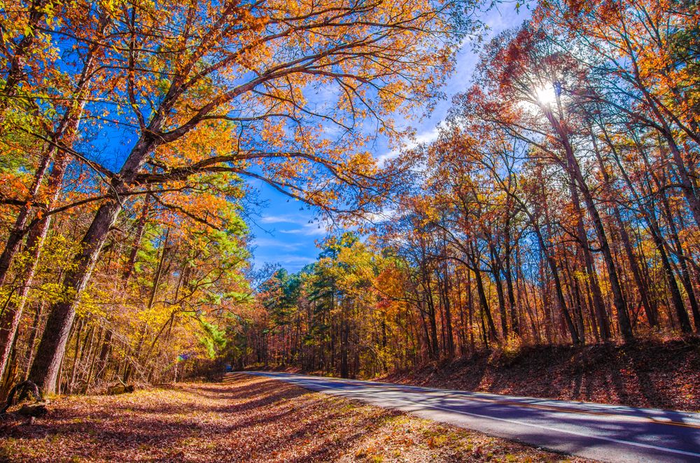 A trail at Lake Catherine State Park