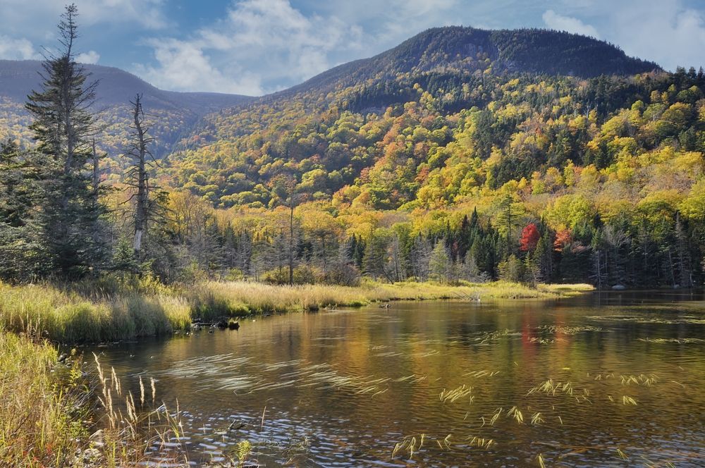 Daytime view of Mount Moosilauke