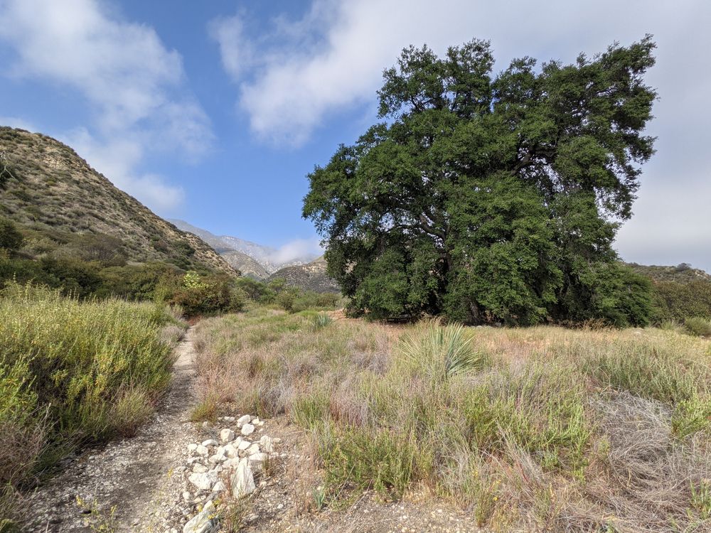 Trail at Deukmejian Wilderness Park