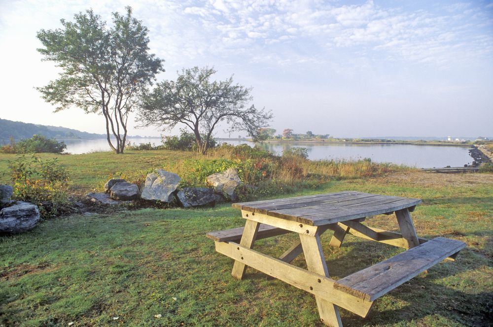 Picnic table on the grounds of Bluff Point State Park