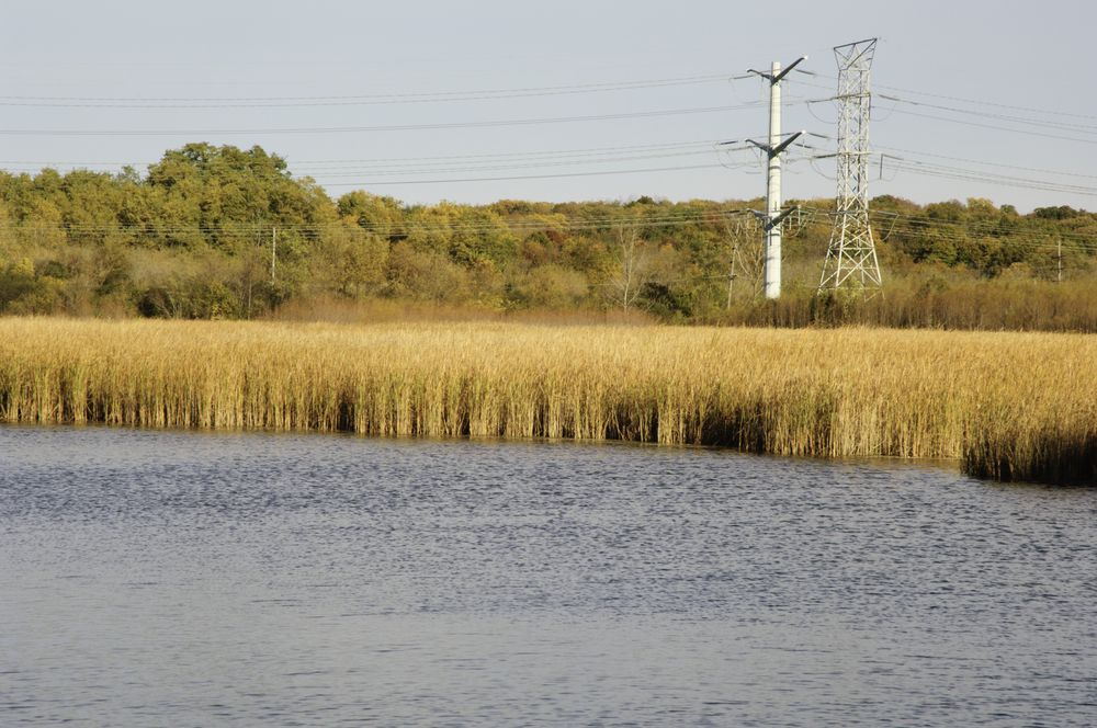 Daytime view of Hidden Lake Forest Preserve