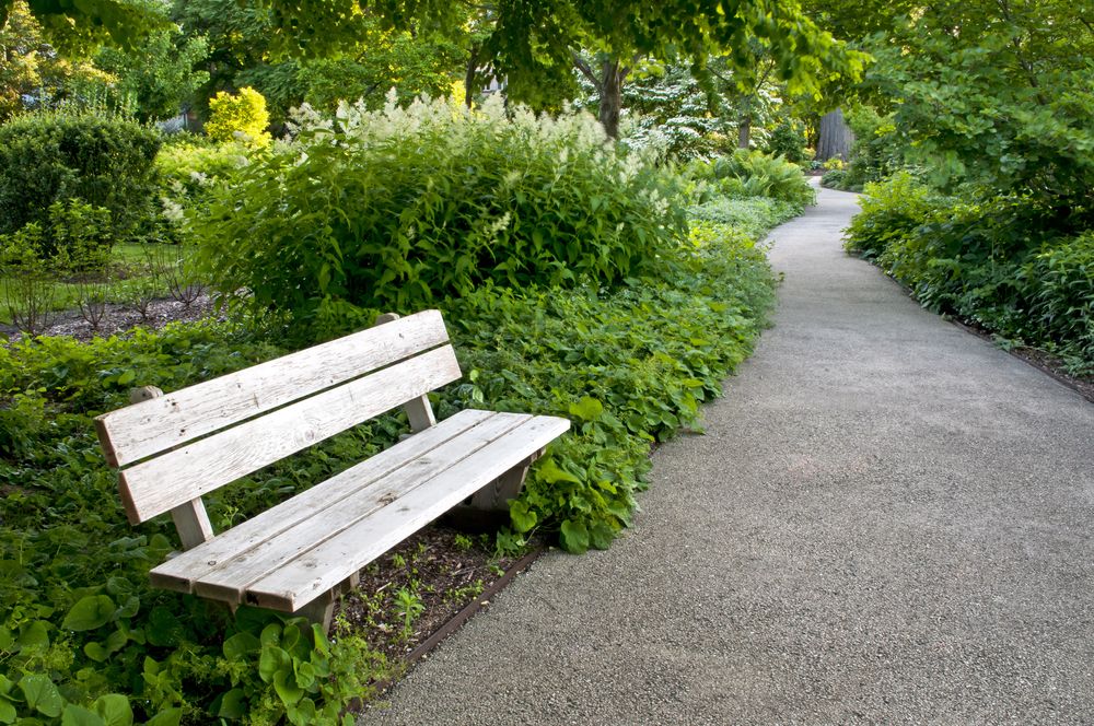 A bench along a paved trail at Morton Arboretum