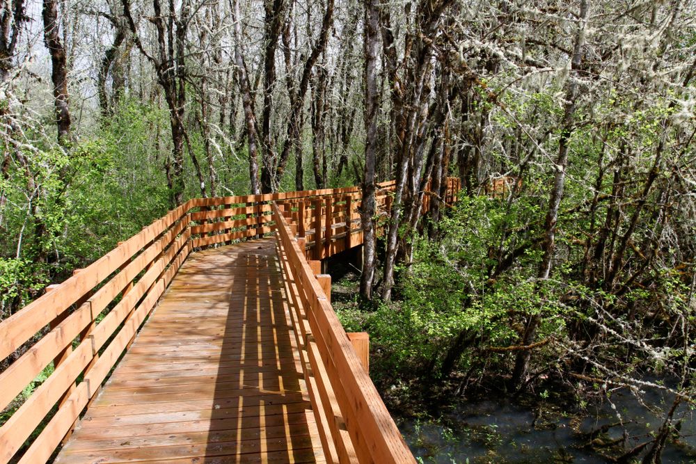 Baordwalk at William L. Finley National Wildlife Refuge