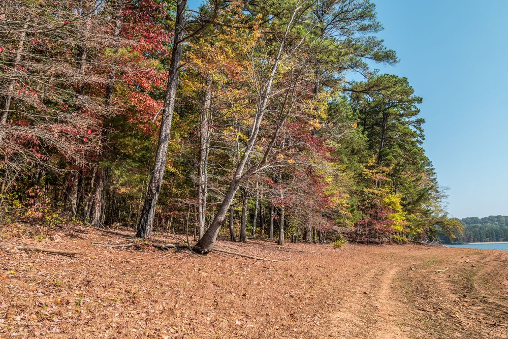 The grounds of Lake Lanier