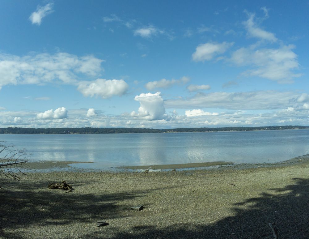 Blue skies reflecting on the body of water.