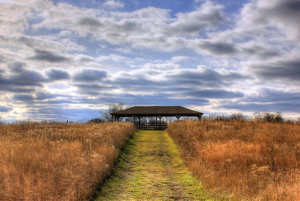 Pathway leading to Illinois Beach State Park's picnic area