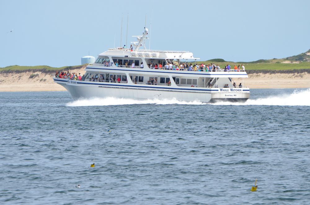 Cruising at Cape Cod Bay
