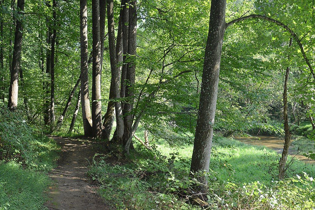Seneca Greenway trail lined with trees