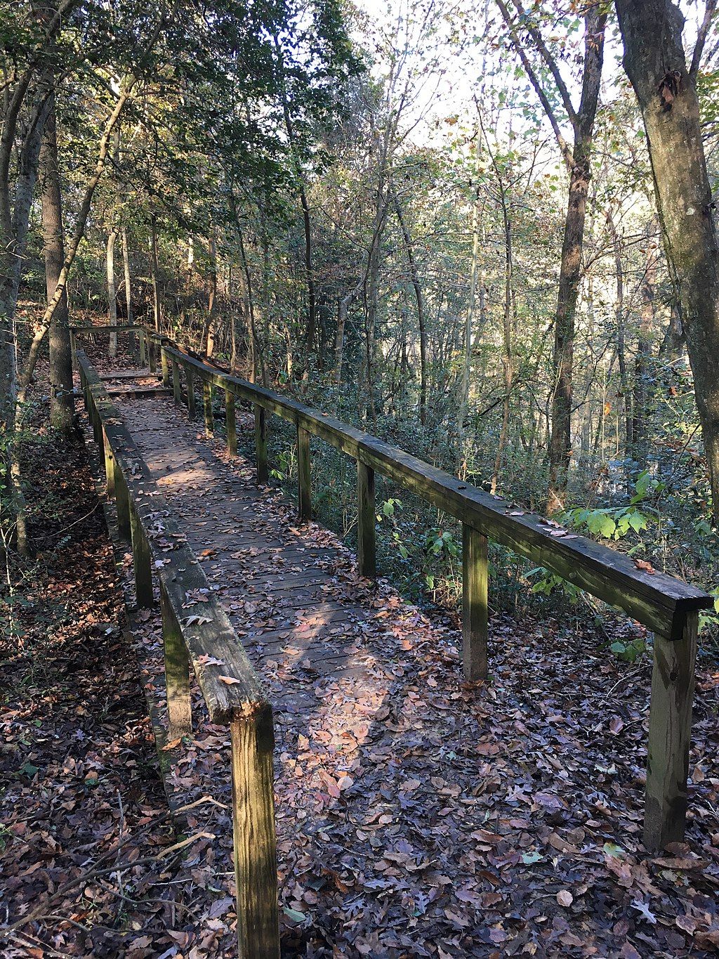 A footbridge at Cliffs of the Neuse State Park