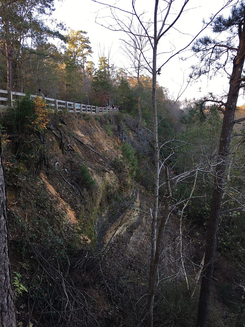 Cliff at Cliffs of the Neuse State Park
