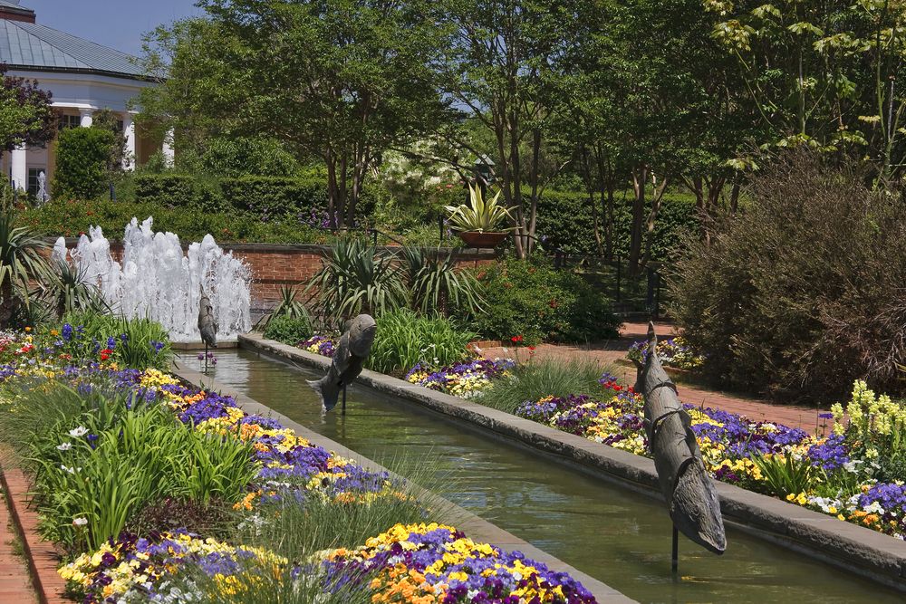 Water fountain at Daniel Stowe Botanical Garden