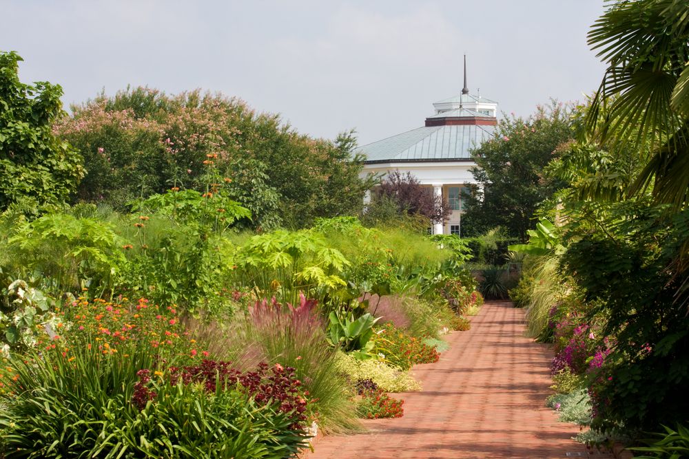 Trail lined with flora at Daniel Stowe Botanical Garden
