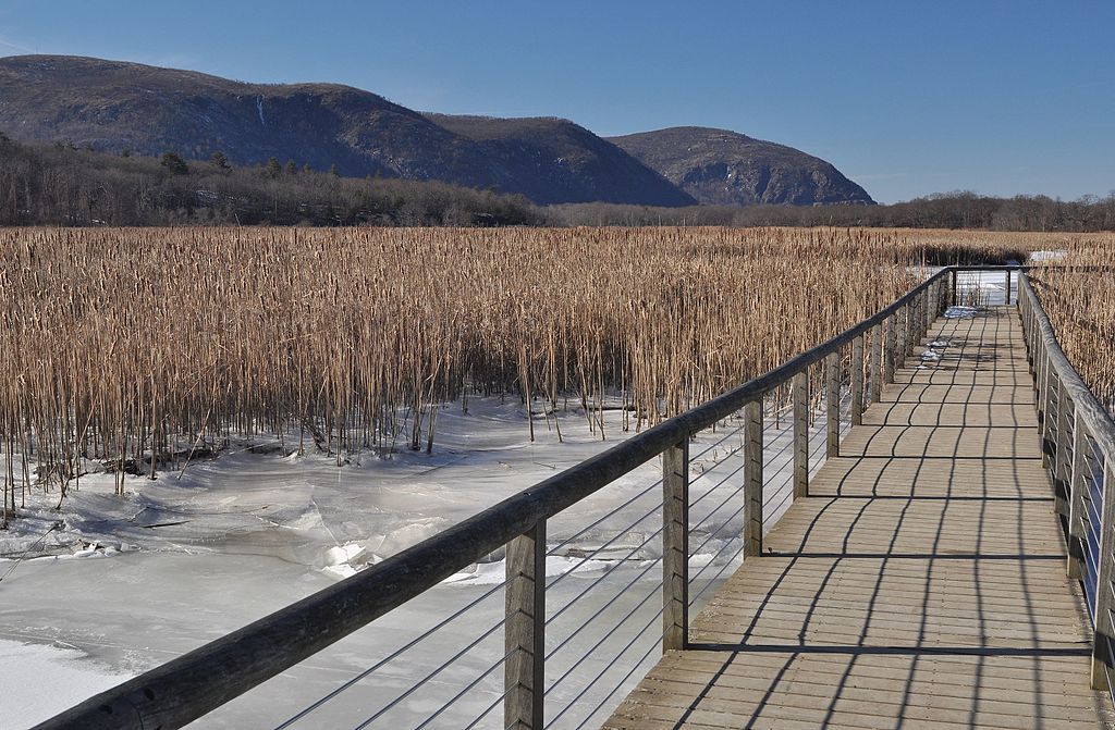 Boardwalk at Constitution Marsh Audubon Center
