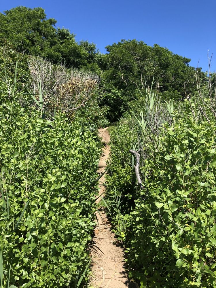 Trail at Inlet Pond County Park