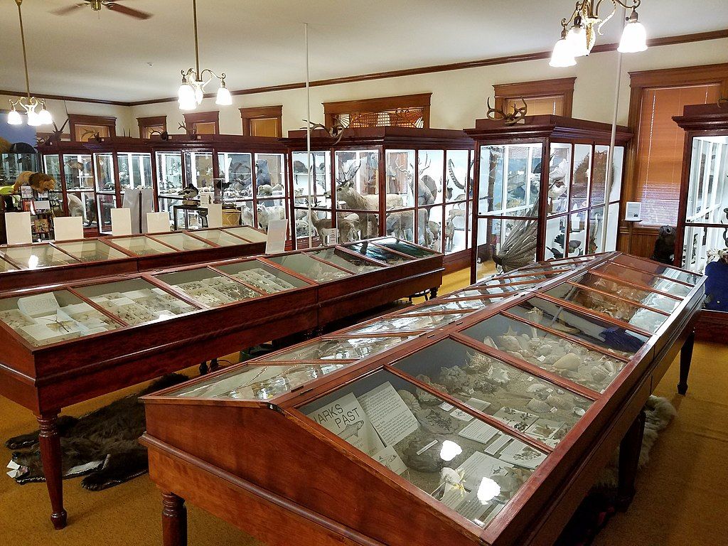 Exhibit in Pember Library and Museum of Natural History