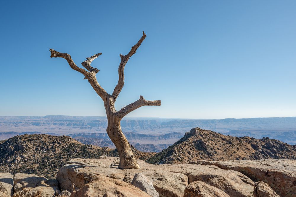 Daytime view of Gold Butte National Monument