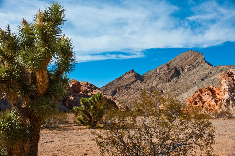 Scenic view of Gold Butte National Monument