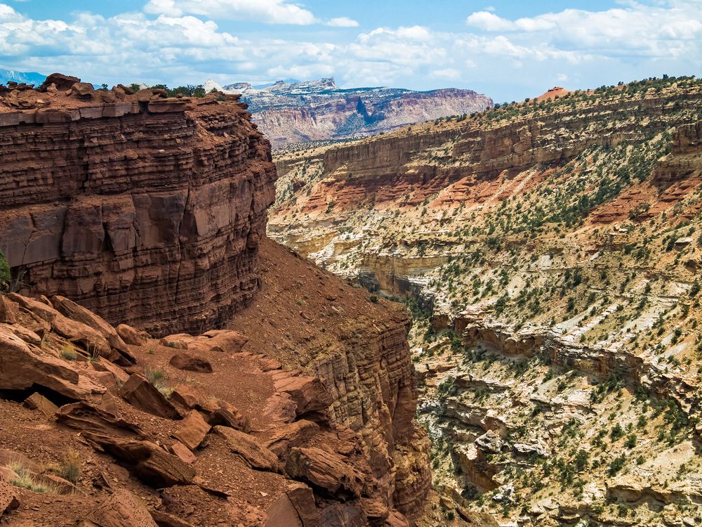 Gooseneck Formation at Gooseneck Overlook