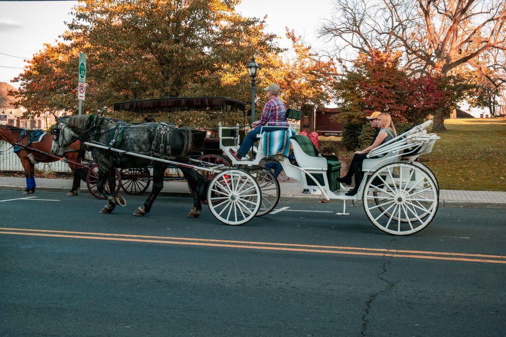 Horse carriage tour at Gettysburg