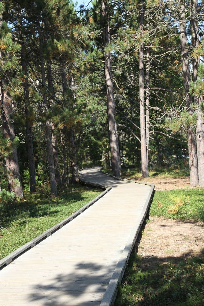 Boardwalk trail in Grand Portage State Park