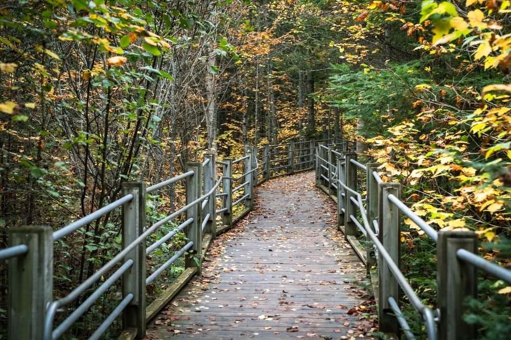 A wooden pathway at Grand Portage State Forest