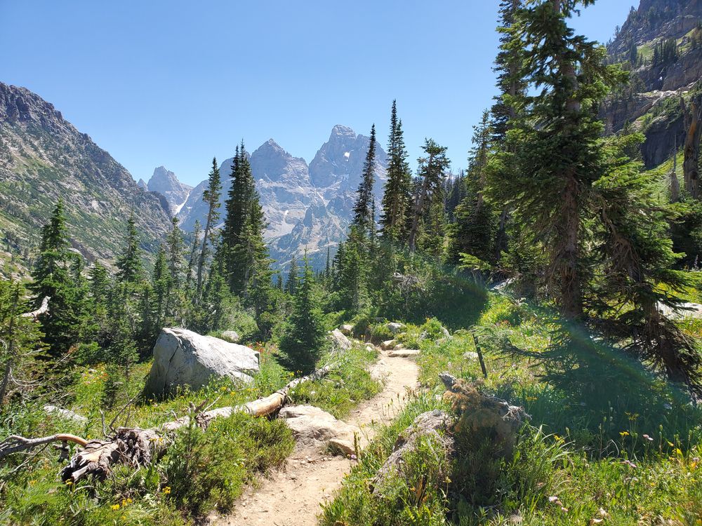 Hiking trail lined with trees at Cascade Canyon