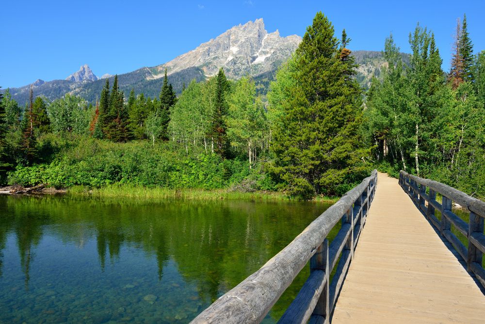 A wooden footbridge over Jenny Lake