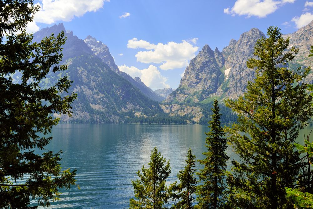 Scenic view of Jenny Lake from the trail