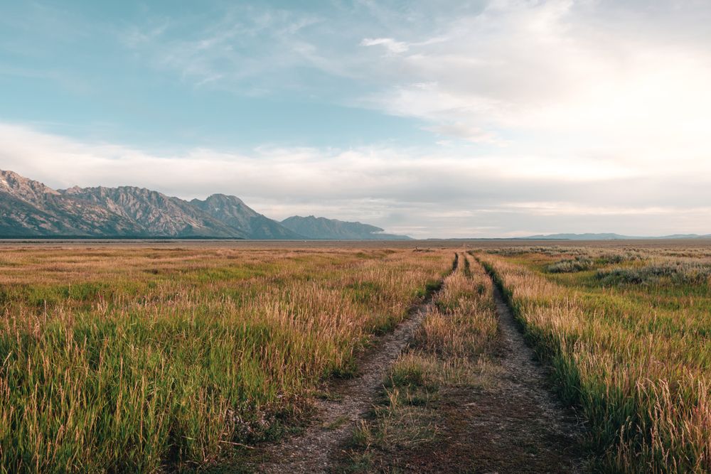 Open field of Mormon Row Historic District