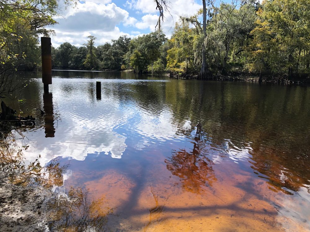 River in Withlacoochee State Forest