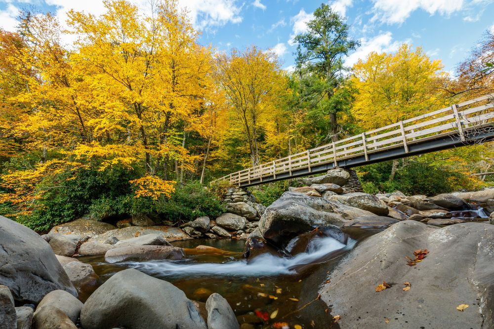 A bridge in Great Smoky Mountains National Park