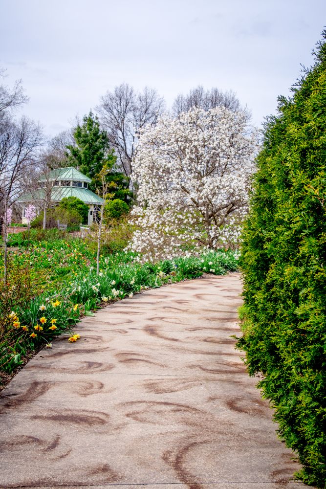 Walkway lined with plants and flowers in Green bay Botanical Garden