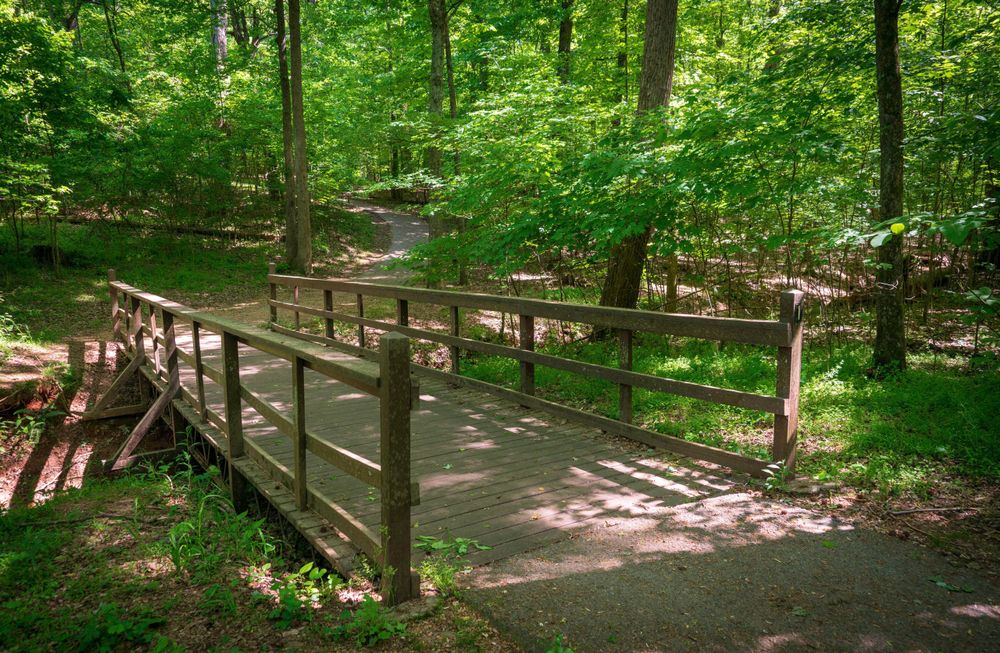 A short boardwalk at Guilford Courthouse National Military Park